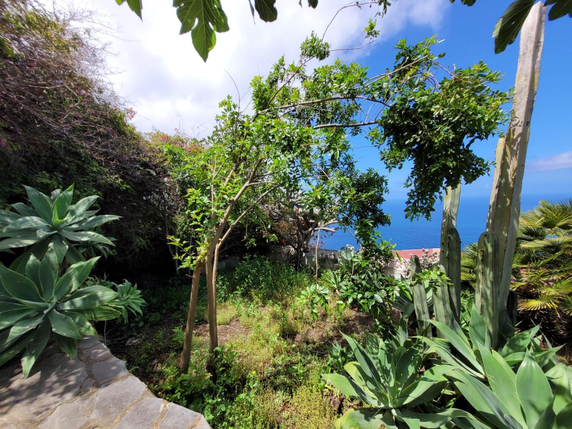 Willkommen Im Paradies - Welcome In Paradise - Bienvenidos Al Paraiso La Matanza De Acentejo ภายนอก รูปภาพ